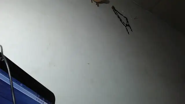 adrixxx38 online show from 03/05/26, 12:17