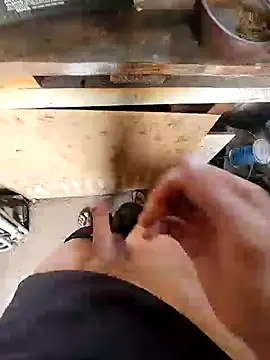 Snapshot of bighornycockup chatting on 12/26/24, 11:35 bighornycockup online show from 12/26/24, 11:35