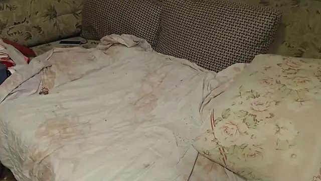 Snapshot of FancyLily chatting on 09/13/25, 08:14 FancyLily online show from 09/13/25, 08:14