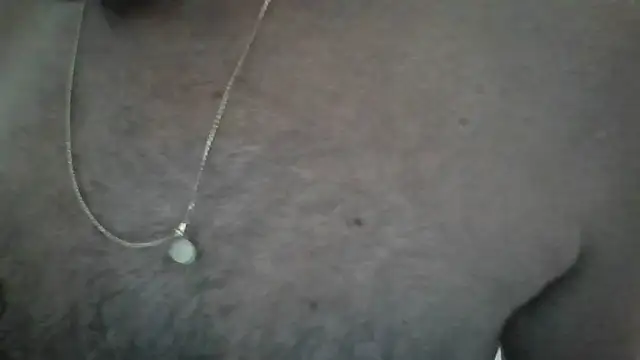 Leo Big online show from 02/26/26, 10:14