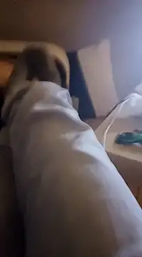 Snapshot of InMeinenMund chatting on 01/13/25, 02:39 InMeinenMund online show from 01/13/25, 02:39