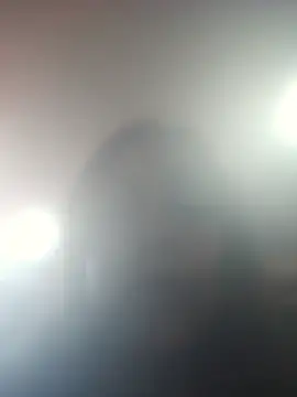 DORYY online show from 07/17/26, 01:56