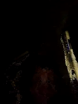 Snapshot of tropikboy chatting on 11/25/25, 12:10 tropikboy online show from 11/25/25, 12:10