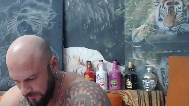 viking 30 online show from 10/06/25, 06:27