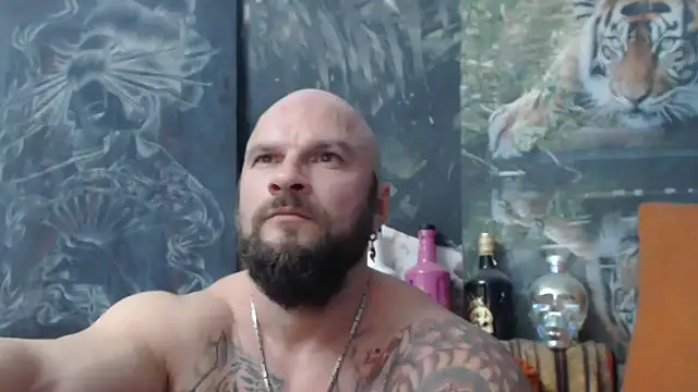 viking 30 online show from 10/31/25, 08:21