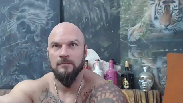 viking 30 online show from 11/11/25, 07:30