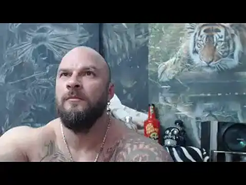 viking 30 online show from 04/13/26, 06:02