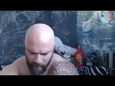 viking 30 online show from 04/28/26, 06:29