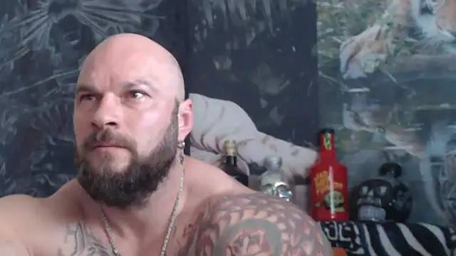 viking 30 online show from 05/21/26, 06:42