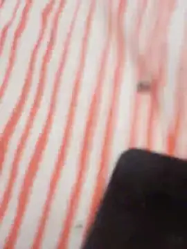 MRbigc23 online show from 05/31/26, 03:08
