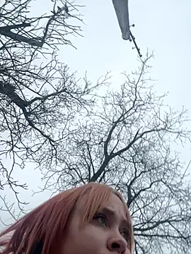 Model9798 online show from 01/24/25, 11:59