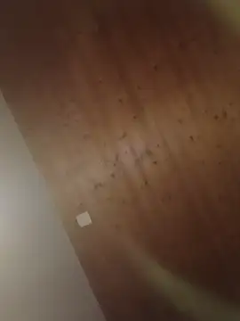 Kw8585kw online show from 03/01/26, 08:22