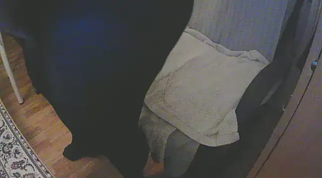 Snapshot of szadamo chatting on 12/11/24, 04:53 szadamo online show from 12/11/24, 04:53