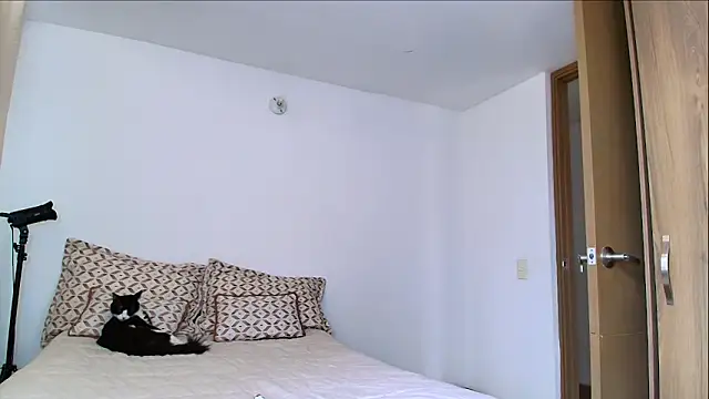 SARA TS FOX online show from 02/11/26, 05:18