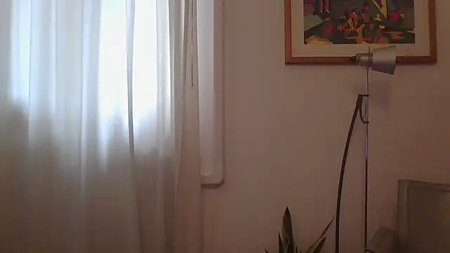 Snapshot of ANONIMO7735 chatting on 03/12/25, 12:26 ANONIMO7735 online show from 03/12/25, 12:26