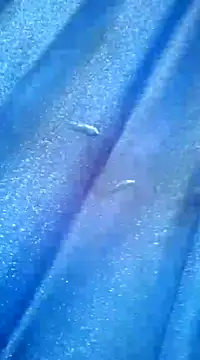 Luismiguel55 online show from 03/08/25, 10:11