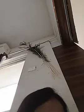 Snapshot of Manjushri35 chatting on 02/14/25, 04:47 Manjushri35 online show from 02/14/25, 04:47