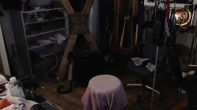 Snapshot of Transjoni chatting on 01/11/25, 03:52 Transjoni online show from 01/11/25, 03:52