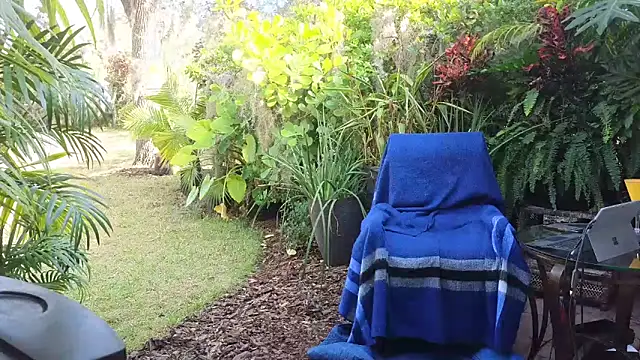 Snapshot of eliberator1777 chatting on 12/10/24, 03:44 eliberator1777 online show from 12/10/24, 03:44