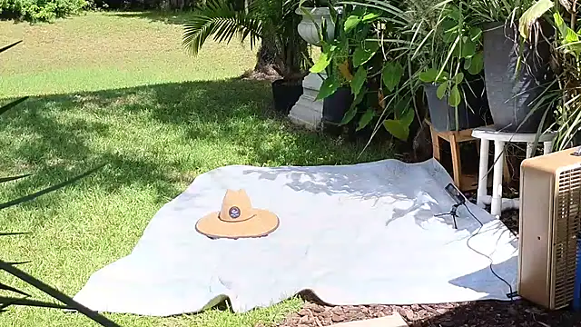 Snapshot of eliberator1777 chatting on 09/21/25, 05:03 eliberator1777 online show from 09/21/25, 05:03