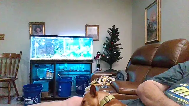 Snapshot of 1964peterbilt1 chatting on 12/30/24, 01:48 1964peterbilt1 online show from 12/30/24, 01:48