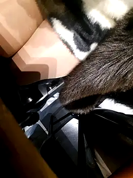 Dirtyfeelin online show from 11/18/25, 02:43