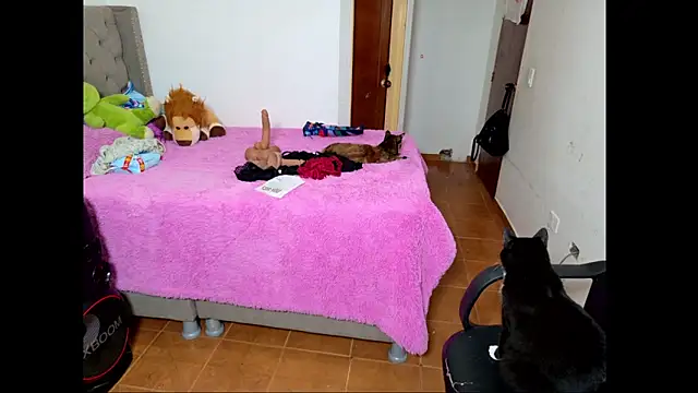 emily honter online show from 12/14/25, 08:46