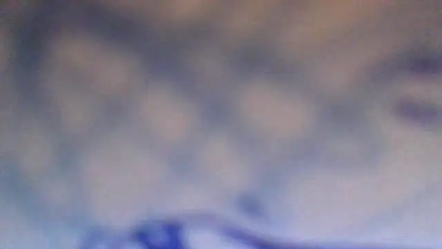 AnnyPat online show from 11/16/25, 12:55