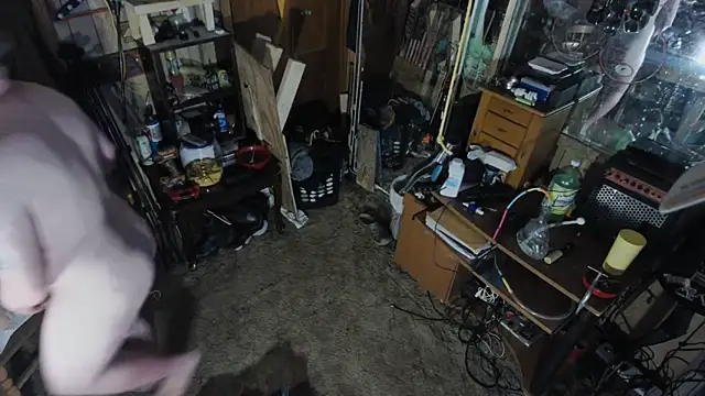 sex4fun 21 online show from 03/12/25, 04:41