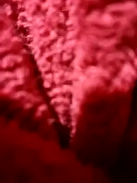 modelo38528061 online show from 12/14/24, 01:49