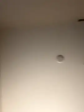 Snapshot of DancingLemonade chatting on 11/16/25, 11:49 DancingLemonade online show from 11/16/25, 11:49