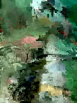 Subhajit12Jana23 online show from 03/19/26, 06:50