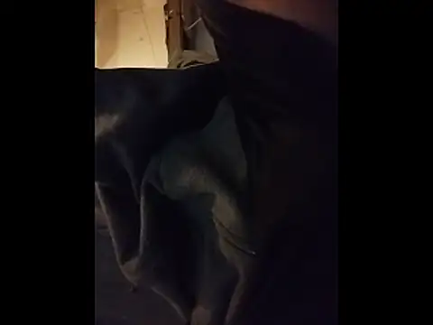 Snapshot of leonar0101 chatting on 02/21/26, 07:31 leonar0101 online show from 02/21/26, 07:31