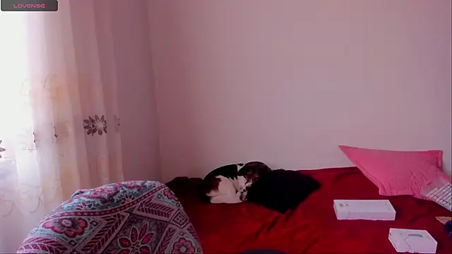 Snapshot of aluna_0310 chatting on 12/09/24, 06:46 aluna 0310 online show from 12/09/24, 06:46