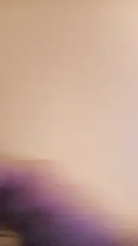 Snapshot of BunnyandClydeDk chatting on 01/31/25, 06:47 BunnyandClydeDk online show from 01/31/25, 06:47