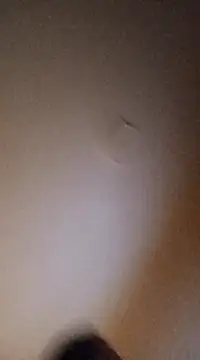 Snapshot of BunnyandClydeDk chatting on 03/04/25, 03:44 BunnyandClydeDk online show from 03/04/25, 03:44