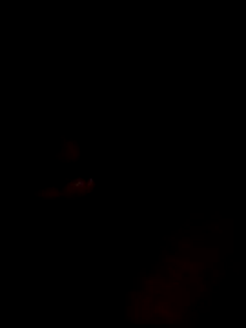 websterribeiro online show from 03/11/26, 03:45