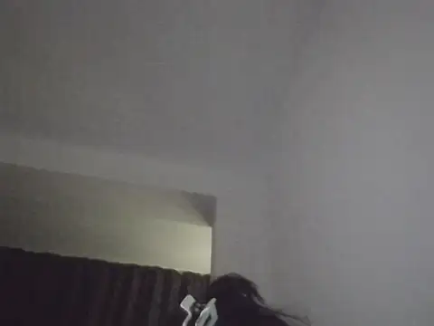 FallenDevil online show from 11/30/25, 08:13