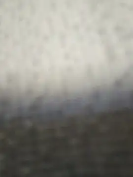 Snapshot of fit_ass_2021 chatting on 07/11/26, 03:04 fit ass 2021 online show from 07/11/26, 03:04