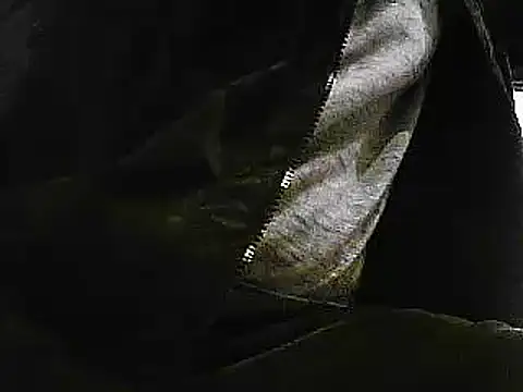 Snapshot of papiculo86 chatting on 01/29/25, 09:33 papiculo86 online show from 01/29/25, 09:33