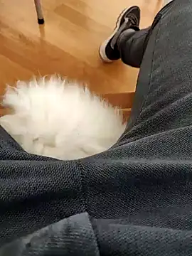 Snapshot of papiculo86 chatting on 02/02/25, 09:08 papiculo86 online show from 02/02/25, 09:08