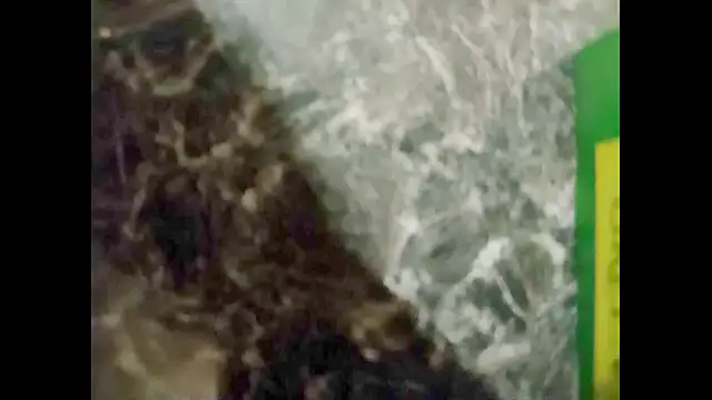 Snapshot of hairyuncut00 chatting on 01/01/25, 12:43 hairyuncut00 online show from 01/01/25, 12:43