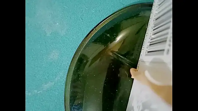 Snapshot of hairyuncut00 chatting on 03/23/25, 06:16 hairyuncut00 online show from 03/23/25, 06:16