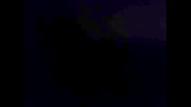 Snapshot of hairyuncut00 chatting on 11/02/25, 06:10 hairyuncut00 online show from 11/02/25, 06:10