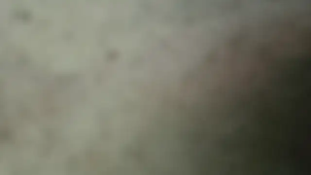 netuhubby online show from 01/24/25, 08:43