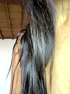 pleasureMyAss- online show from 01/17/26, 05:27