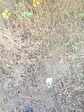 rameshmry1 online show from 03/21/26, 12:10