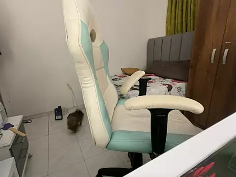 Max TheHorseDick online show from 12/14/24, 02:34