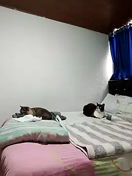 Vicky Rosse online show from 11/01/25, 05:37