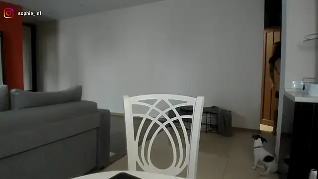  in yan online show from 02/18/26, 03:57